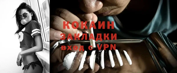 кокс Алексин