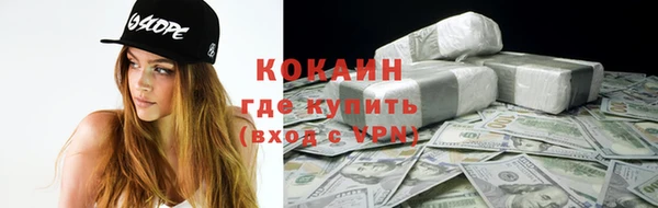 кокс Алексин