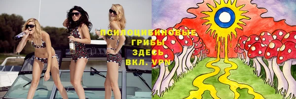 ECSTASY Абаза